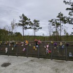 IMG_20251012_120911