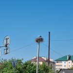 20260517_110429