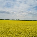 IMG_20260518_113650_461